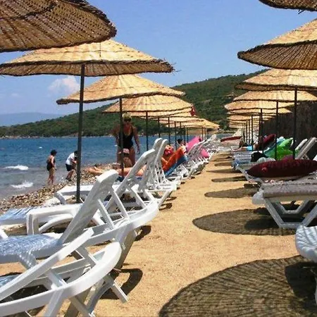 Villa Evoteli Group Flamingo 3+1 Ozel Havuzlu *